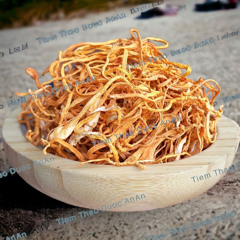 Đông Trùng Hạ Thảo Sấy Khô Vàng, Nấm Đông Trùng Hạ Thảo Tăng Sức Đề Kháng, Chống L.ão Hóa