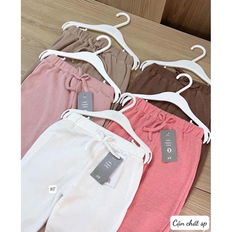 Set 5 quần nỉ bé gái