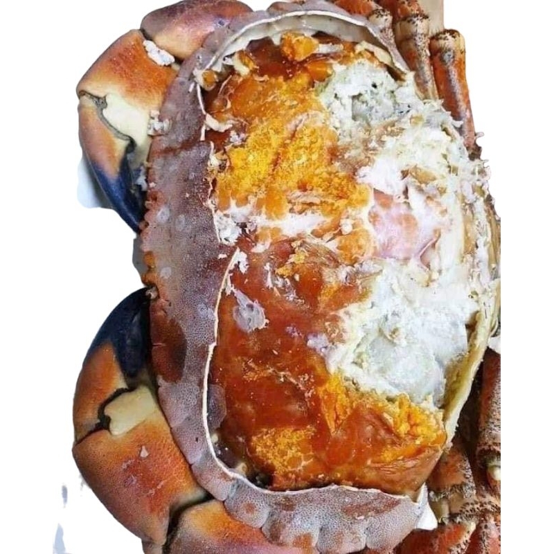 CUA NÂU SIÊU NHIỀU GẠCH SCOTLAND