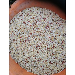 1kg phân bón npk cho cây trồng