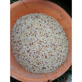 1kg phân bón npk cho cây trồng