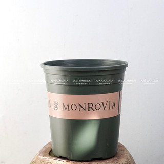 Chậu Nhựa Monrovia Chính Hãng JUN GARDEN Nhập Khẩu TQ