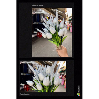 🌷🌷 Hoa cưới cầm tay cô dâu bó tulip phối lavender hàn quốc nhỏ nhỏ xinh xinh - Phụ kiện cưới bích Dung
