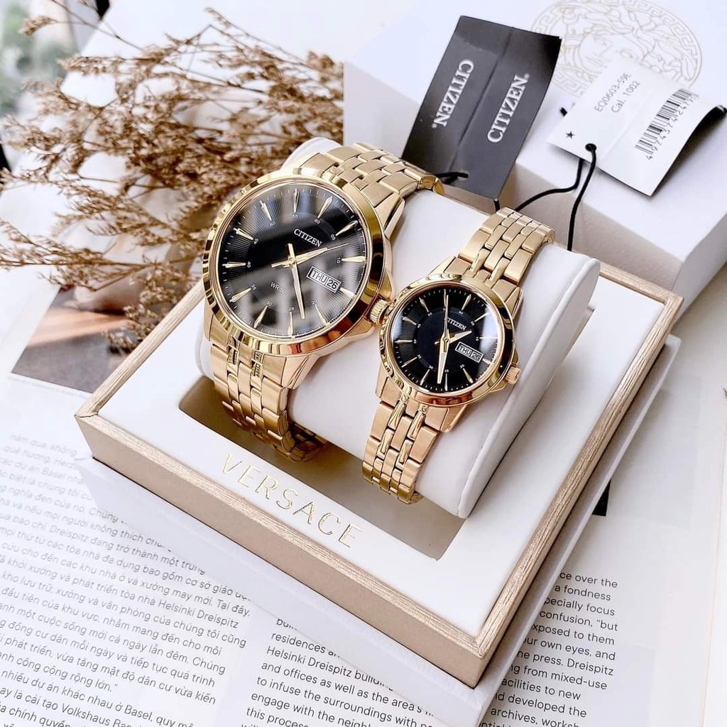 Đồng hồ đôi CITIZEN EQ0603-59E / BF2013-56E