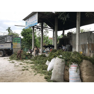 Tinh dầu tràm Linh 30 ml