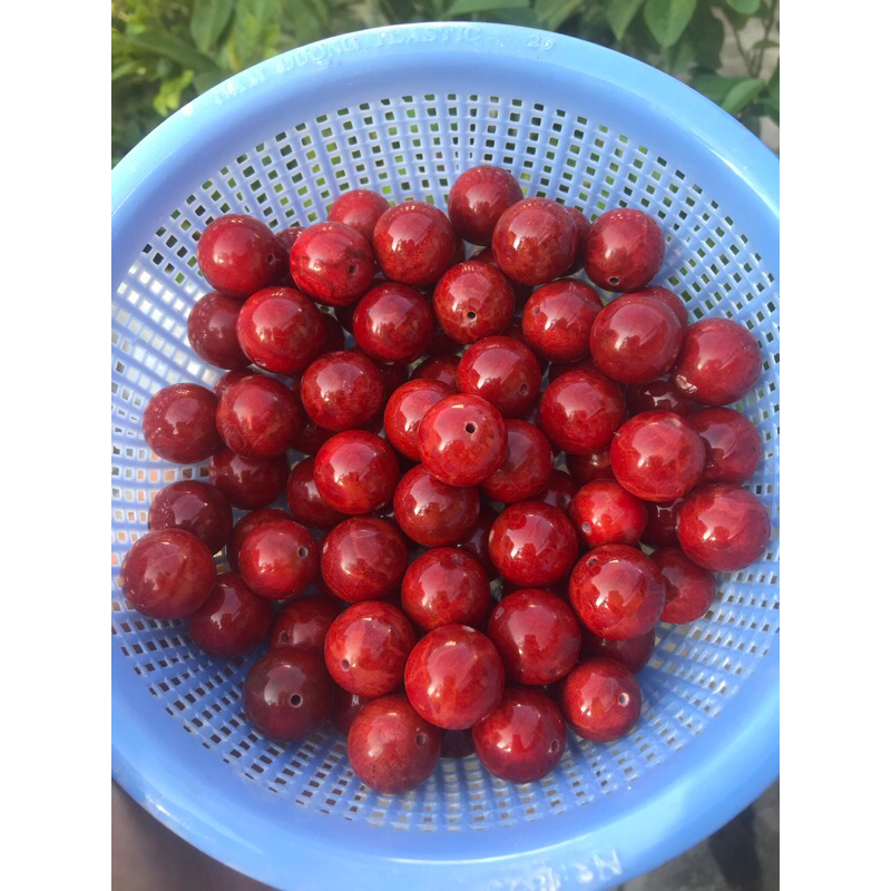 Hạt san hô lẻ dùng mix vòng theo ý