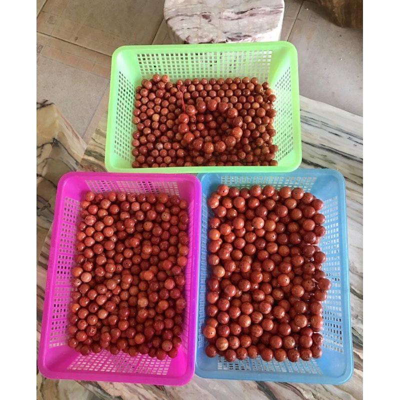 Hạt san hô lẻ dùng mix vòng theo ý