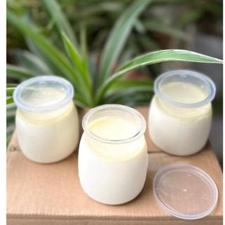 Hủ sữa chua pet trong 160ml kèm nắp