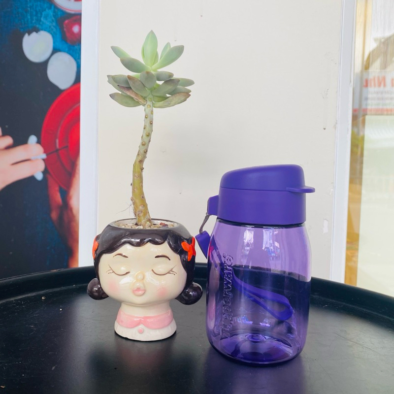 Bình nước Mini Lohas 350ml