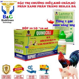 Hộp 10 lọ 10ml quinocoli tặng 1 gói men sống cao cấp 10g