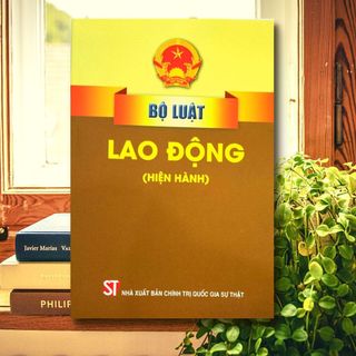 Sách - bộ luật lao động
