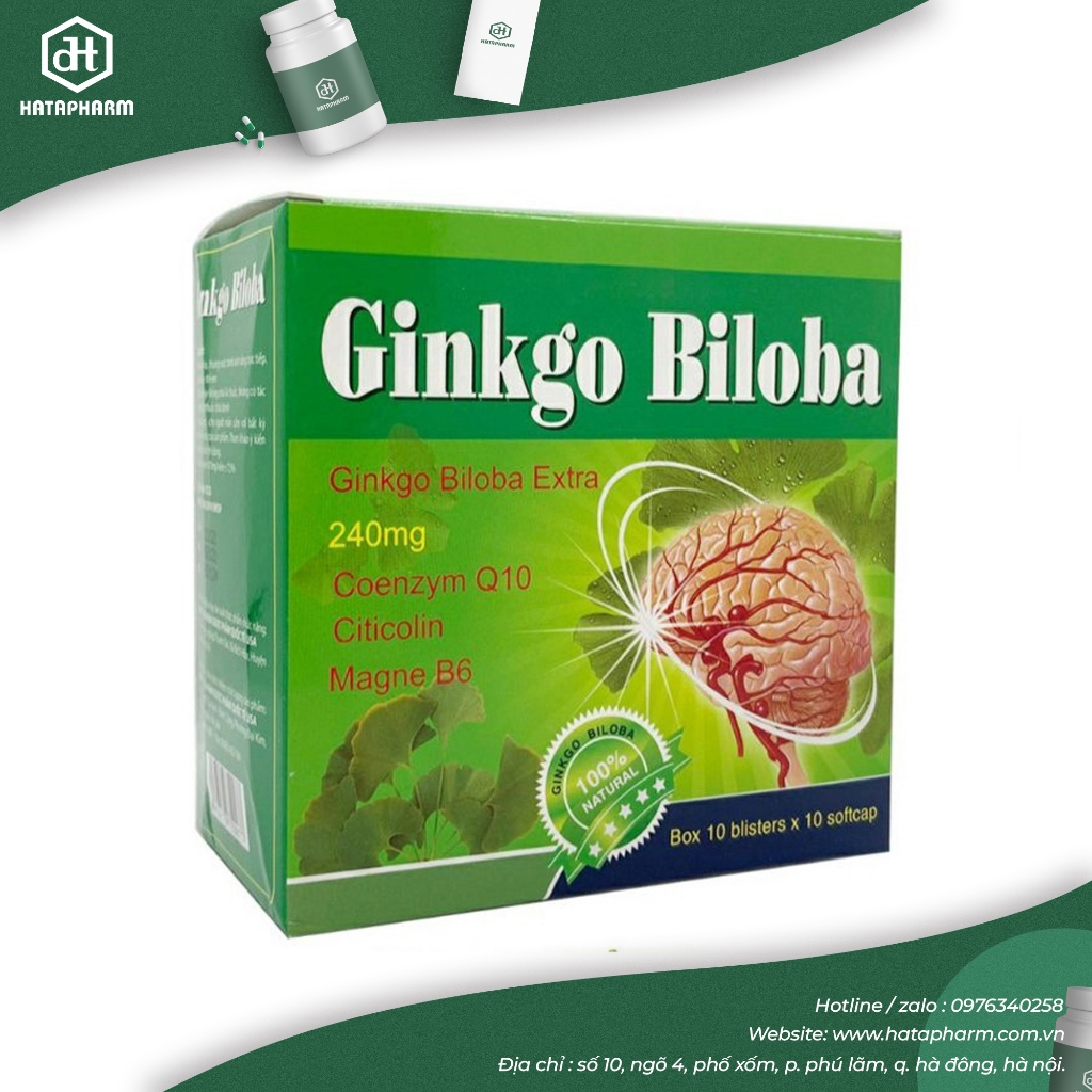 Hoạt huyết dưỡng não Ginko Biloba 240mg B6 hộp 100 viên ngochuyenpharrma