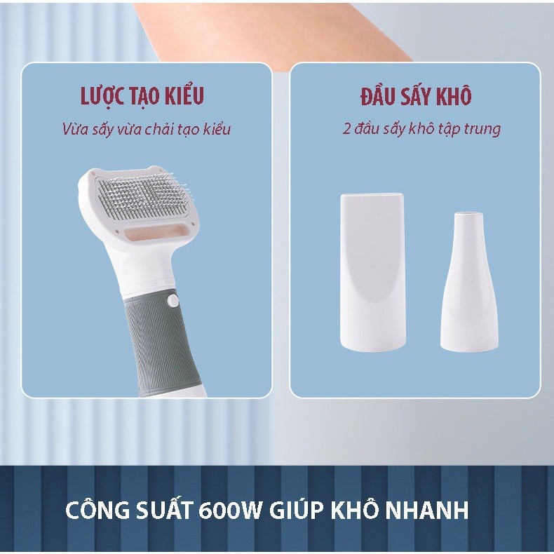 Máy sấy lông chó mèo đa năng 3 In 1, lược sấy lông thú cưng