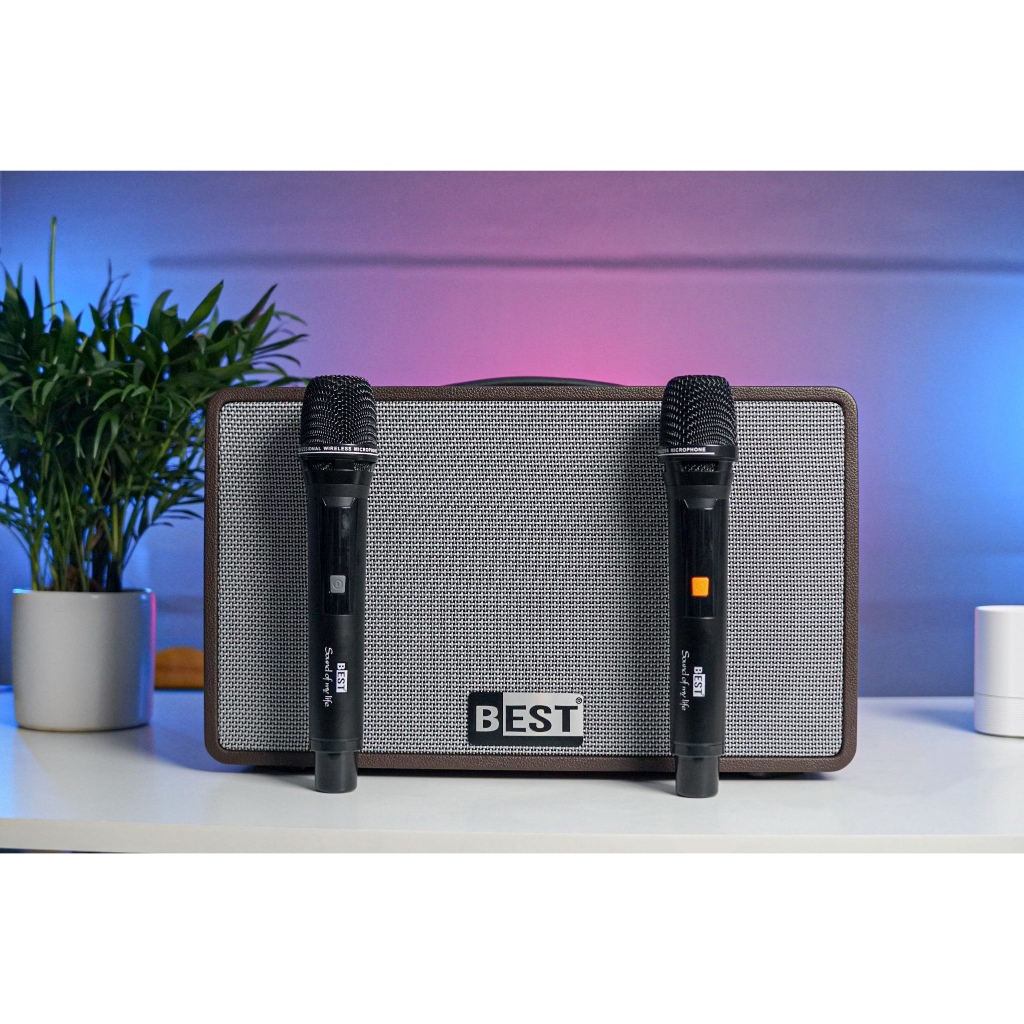 Loa Karaoke xách tay Best LUX 20 | Bass 20cm , Kèm 2 Micro