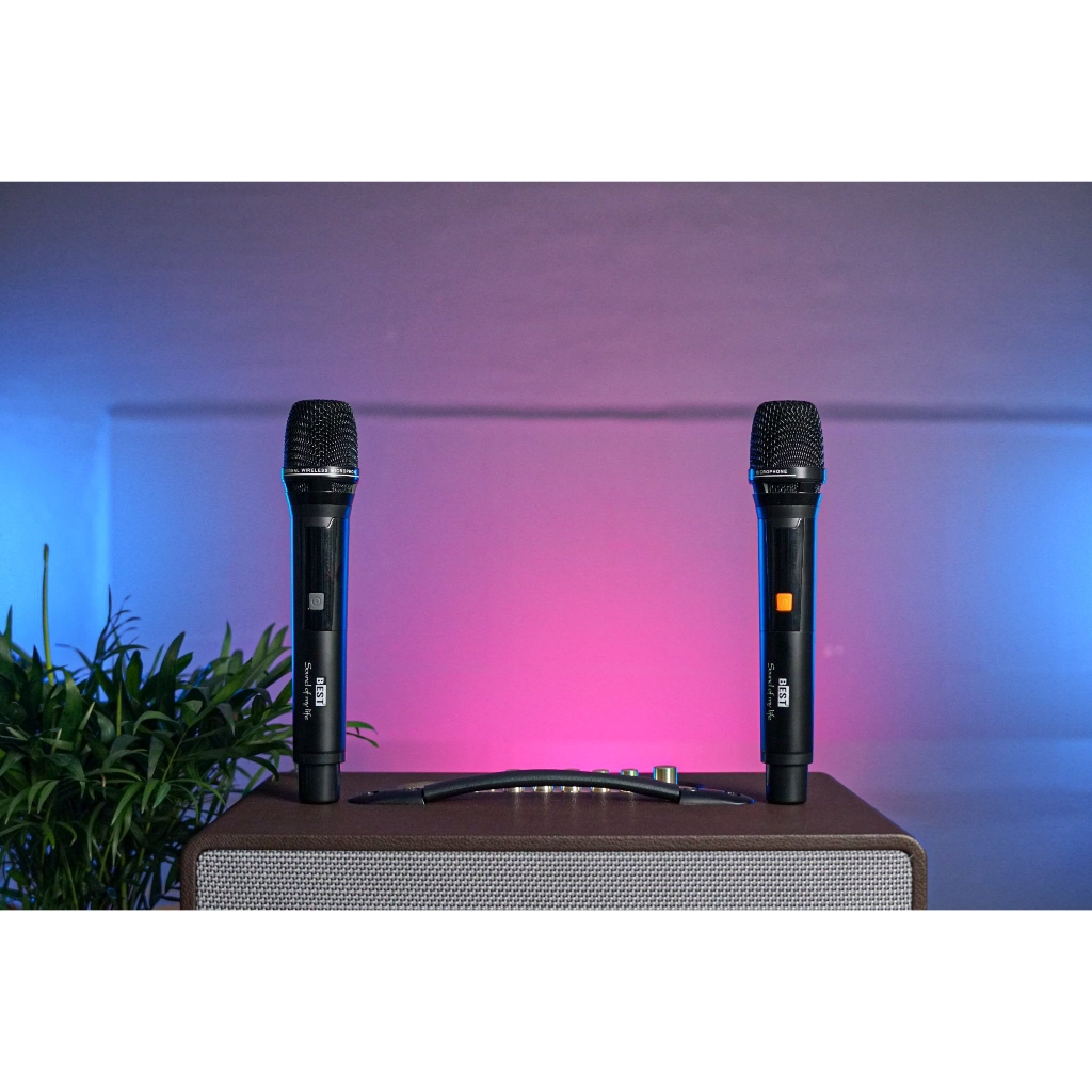 Loa Karaoke xách tay Best LUX 20 | Bass 20cm , Kèm 2 Micro