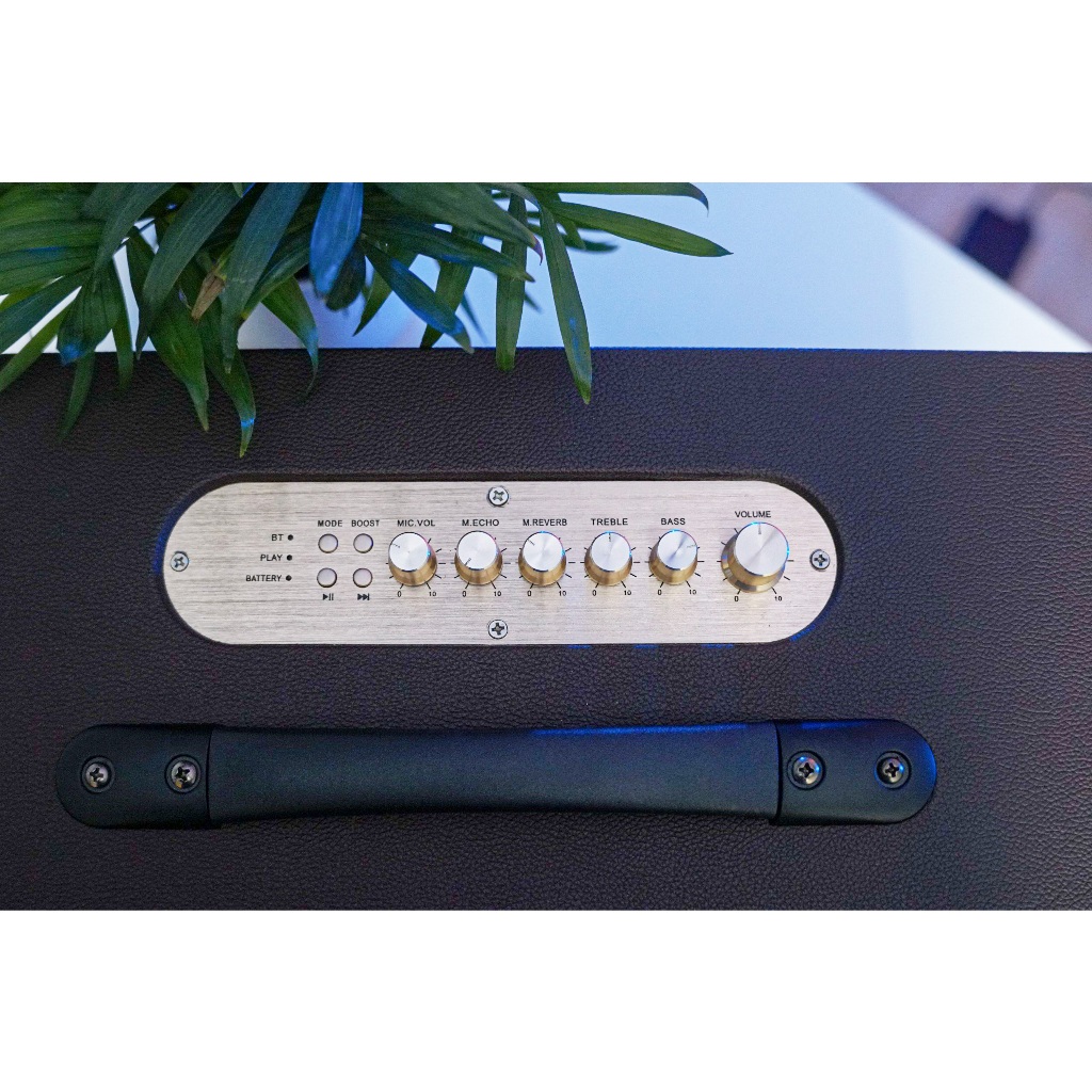 Loa Karaoke xách tay Best LUX 20 | Bass 20cm , Kèm 2 Micro