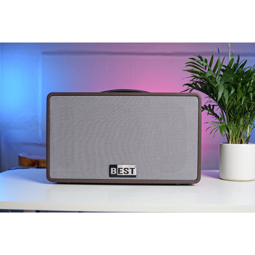 Loa Karaoke xách tay Best LUX 20 | Bass 20cm , Kèm 2 Micro