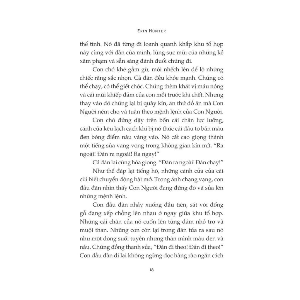 Sách - Mèo chiến binh  - Con đường hiểm nguy