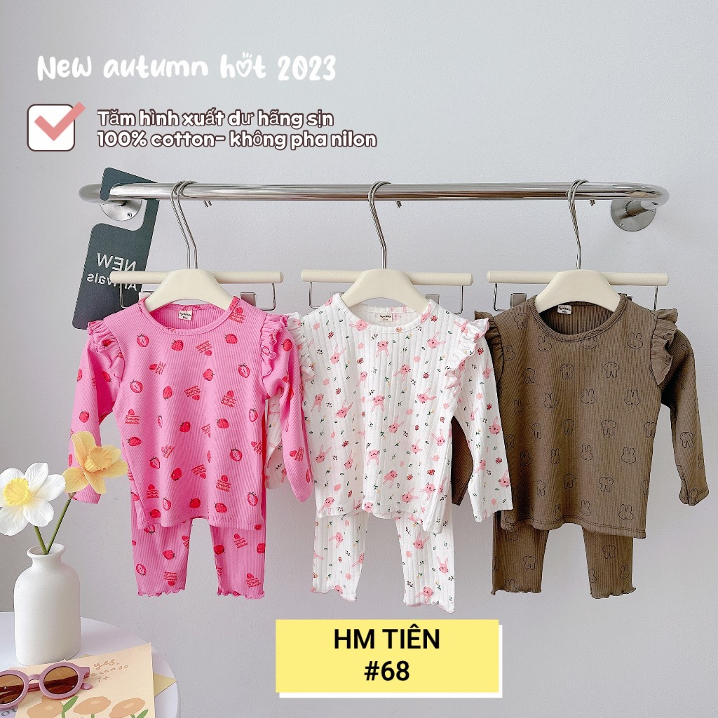 Bộ tăm cánh tiên hãng xuất dư cho bé gái