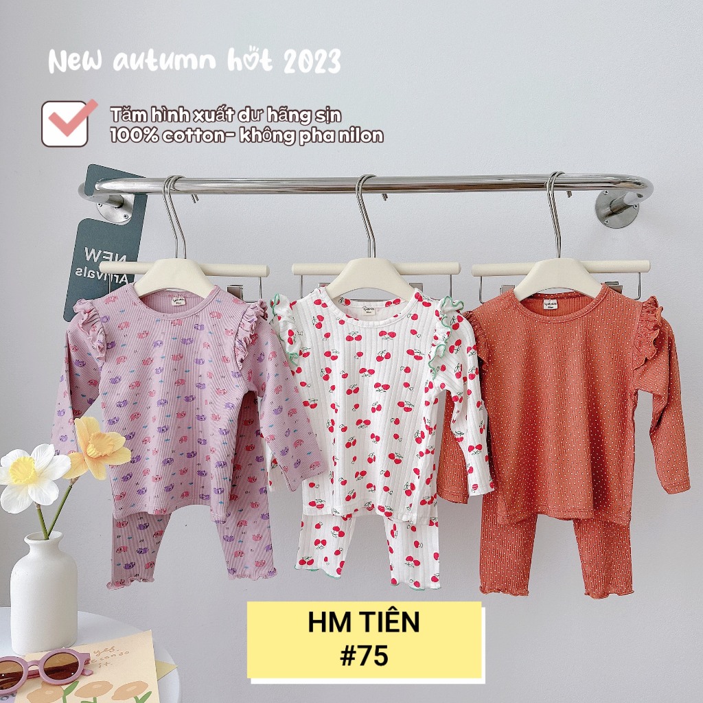 Bộ tăm cánh tiên hãng xuất dư cho bé gái