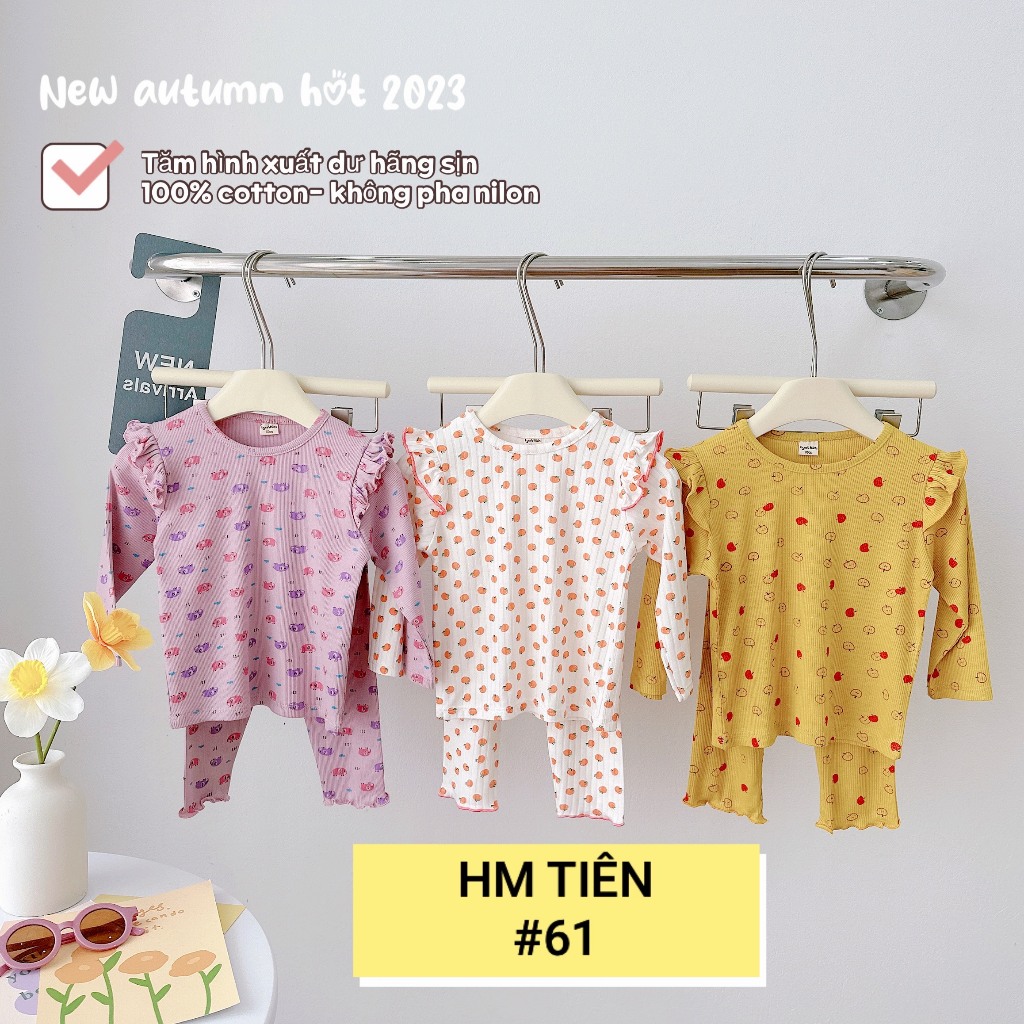 Bộ tăm cánh tiên hãng xuất dư cho bé gái