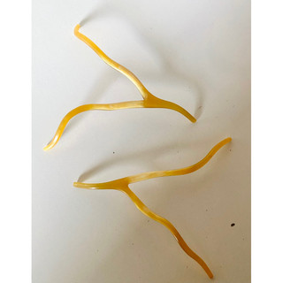 phụ kiện lồng chim -sừng bò