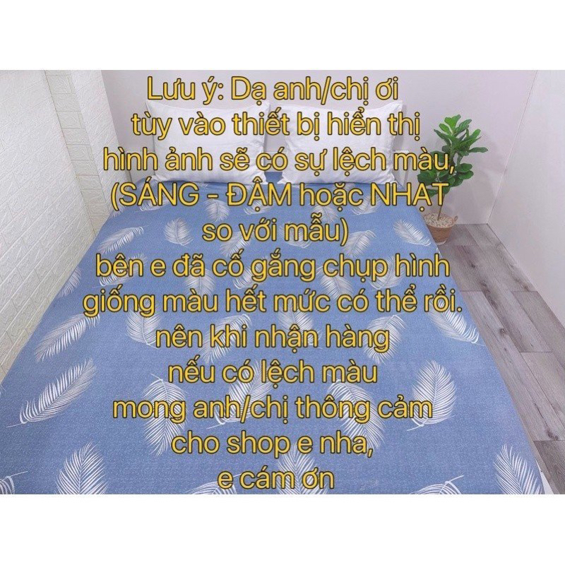 Ga lẻ thun hq không gối cho nệm cao 20cm