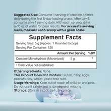 Bột creatine Deal Supplement CREATINE MONOHYDRATE POWDER 600g