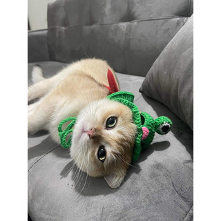Mũ nón ếch len handmade cho chó mèo thú cưng có size