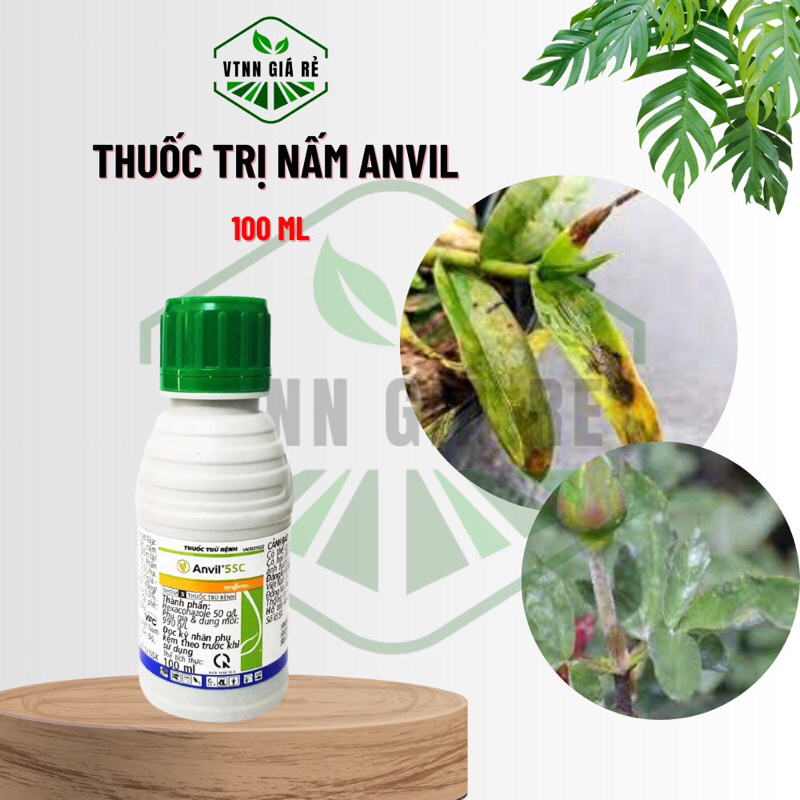 THUỐC TRỊ NẤM ANVIL 100ml - MUA 3 TẶNG 1 CÙNG LOẠI - VTNNGIARE