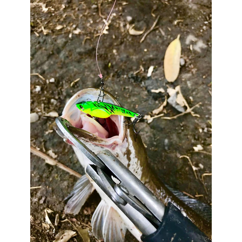 Mồi sắt câu lóc Baby snake X50 Lurefans HKN Fishing