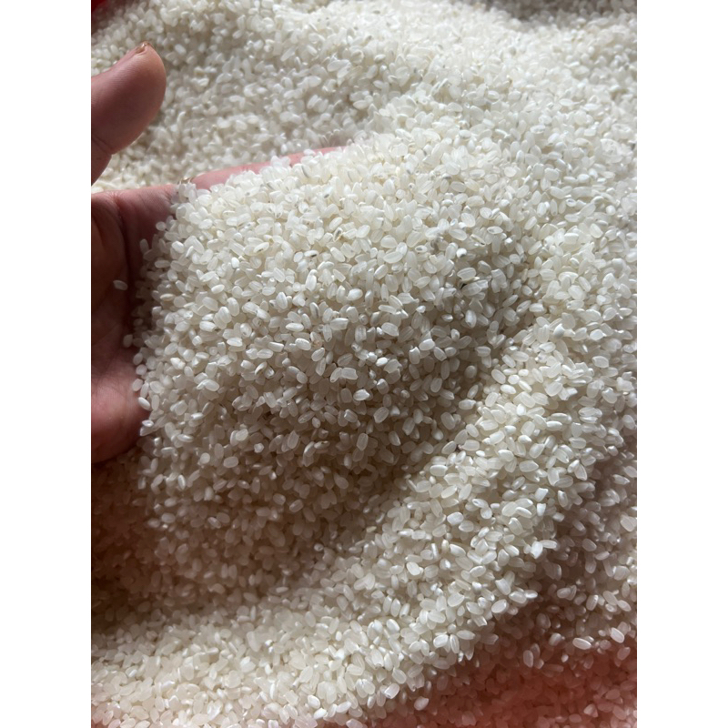 Gạo sén cù tròn loại 1 dẻo thơm hạt to đều túi 1kg