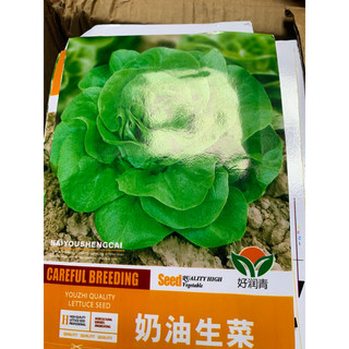 Hạt giống xà lách cos hoa hồng xanh