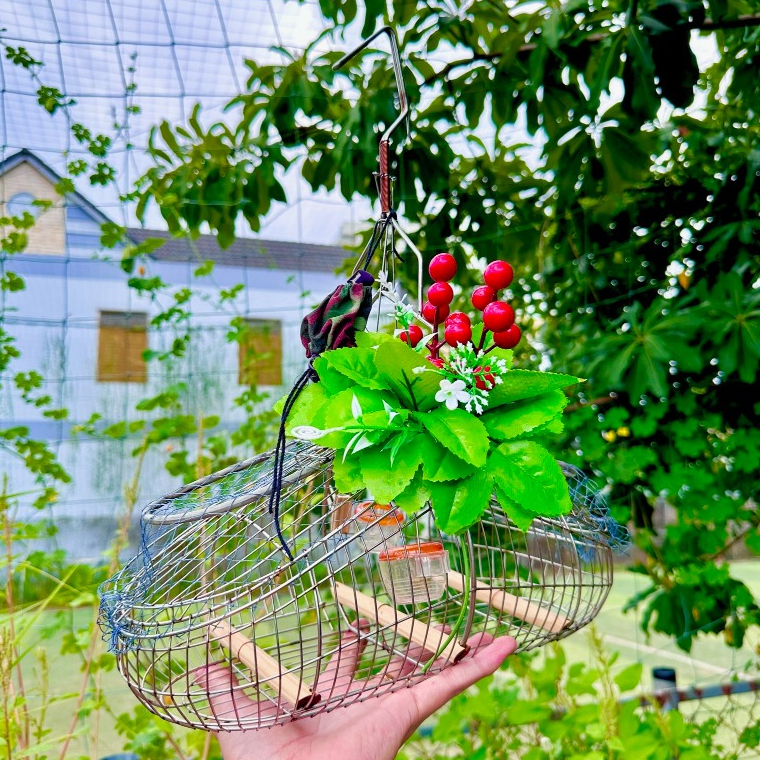 Lồng Inox Bẫy Chim Sâu, Khuyên, Hút Mật, Huýt Cô, Tiêu Mi, Ốc Mít