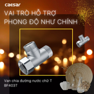 Van chia nước chữ T - BF403T