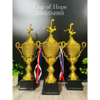 Cúp vàng mới kỷ niệm chương vàng lưu niệm cúp bóng đá thể thao cup lưu niệm pha lê cờ giá rẻ xịn