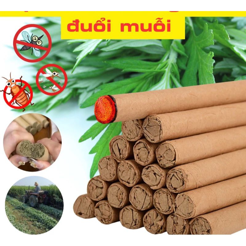 Combo 10 THANH NGẢI CỨU ĐUỔI MUỖI-XÔNG PHÒNG- GIẢM STRESS - DỄ NGỦ
