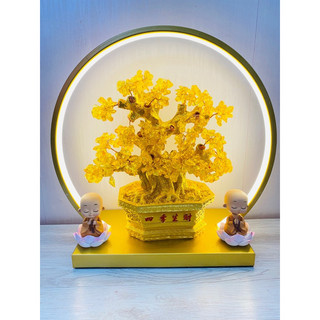 Cây kim tiền đá thạch anh thần tài