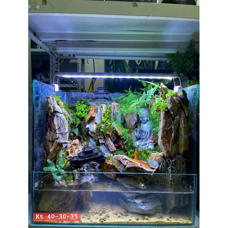 Đá vân gỗ setup bán cạn,tiểu cảnh GreenNatural