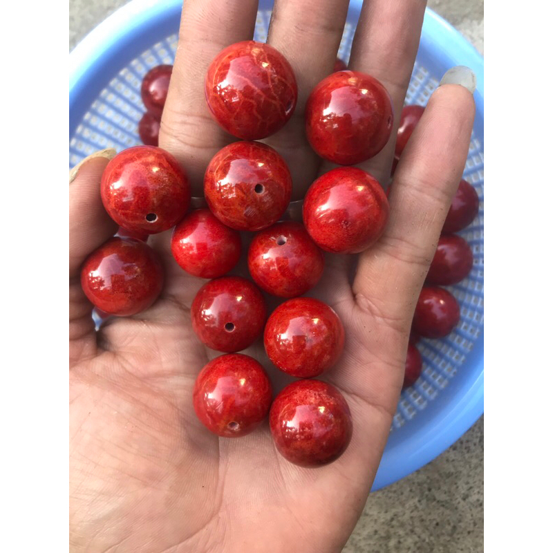 Hạt san hô lẻ dùng mix vòng theo ý