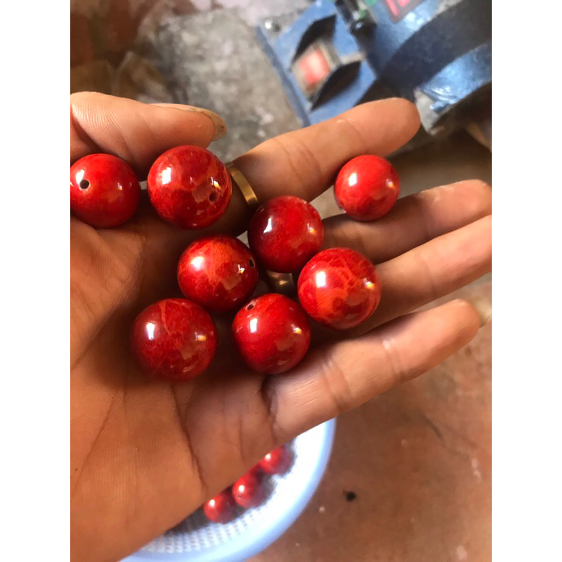 Hạt san hô lẻ dùng mix vòng theo ý