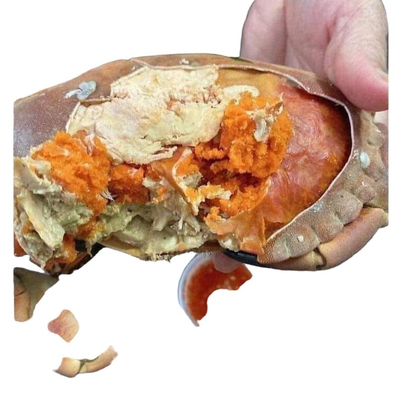 CUA NÂU SIÊU NHIỀU GẠCH SCOTLAND