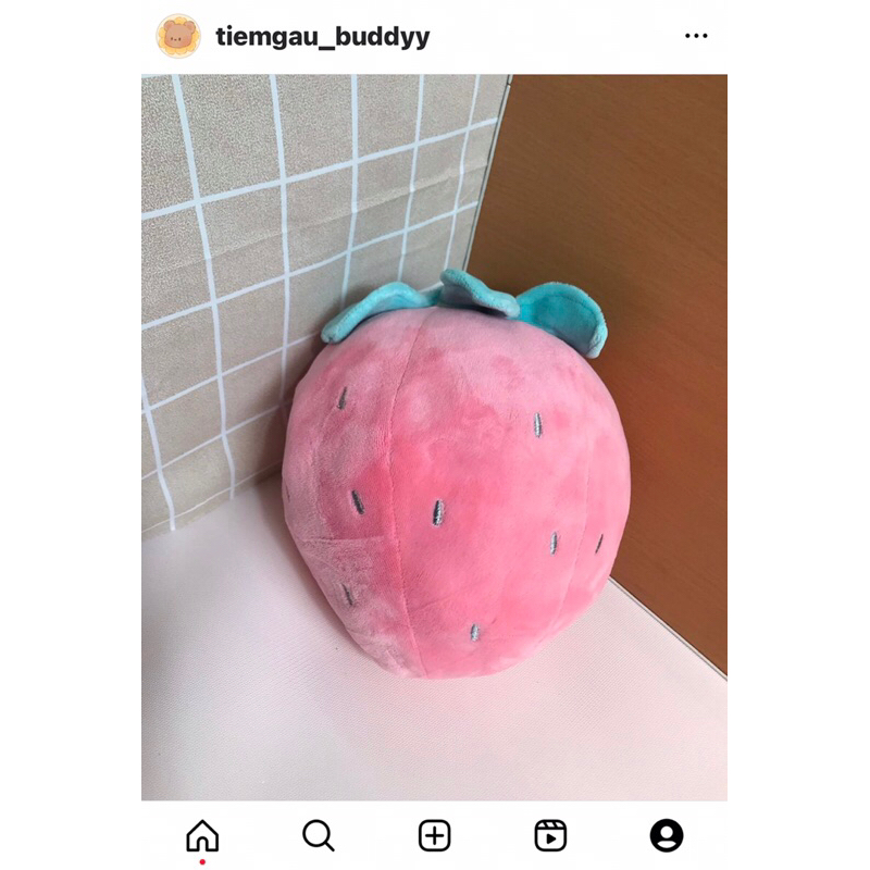 Gấu bông dâu tây 23cm