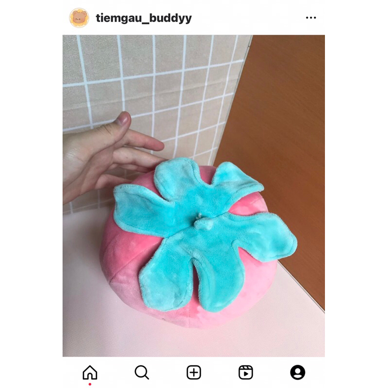 Gấu bông dâu tây 23cm