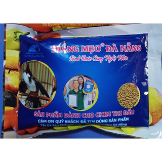 Thắng Mẹo đấu cho chim chào mào