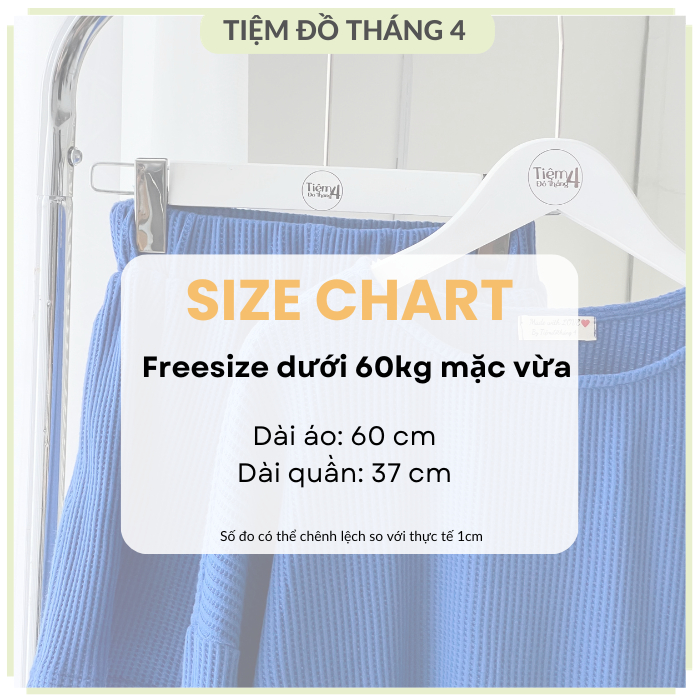 Set Áo Tay Dài Quần Short Trơn Thoải Mái Năng Động TIỆM ĐỒ THÁNG 4 LOLO SET