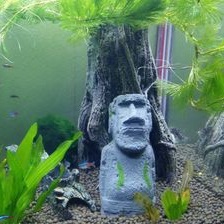 Tượng Đầu Người MOAI Đảo Phục Sinh trang trí bể cá
