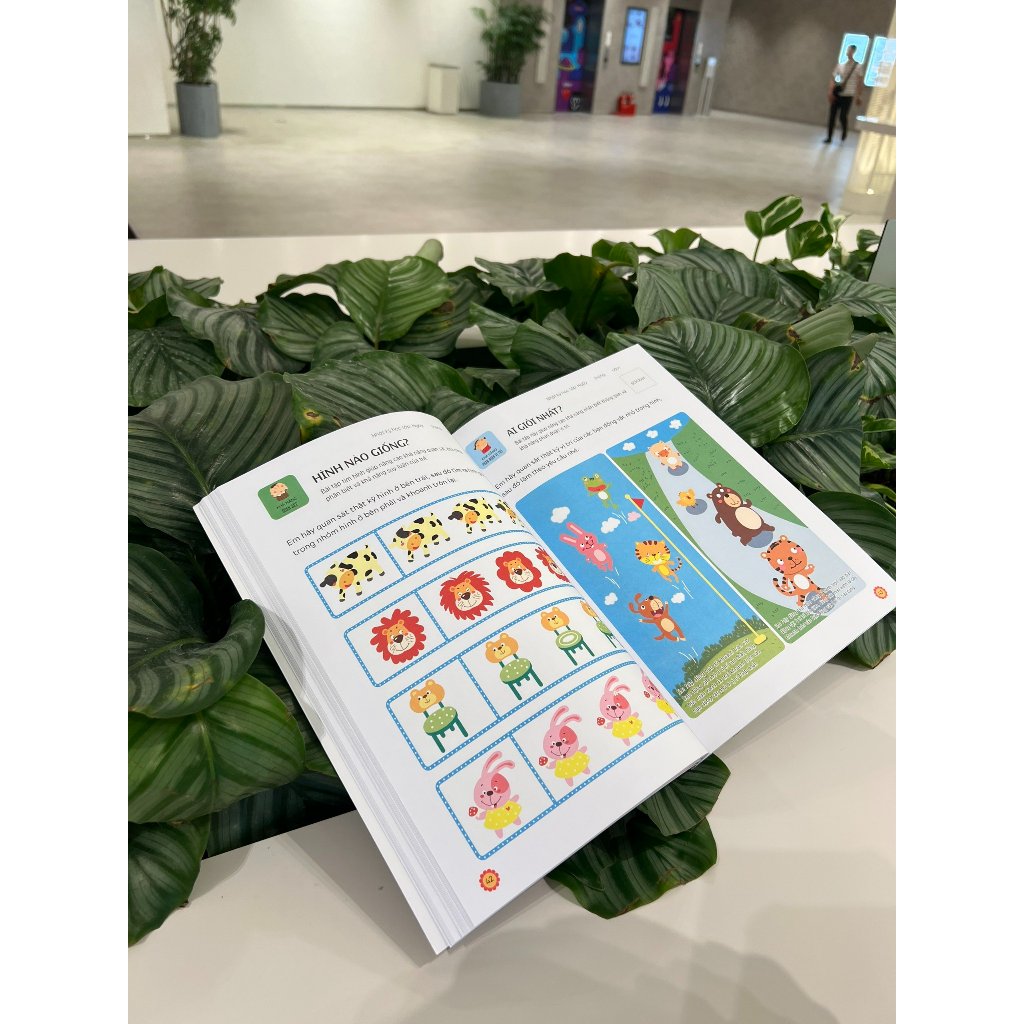 Sách - Phát triển tư duy: Rèn luyện não trái, não phải cho bé 3-6 tuổi