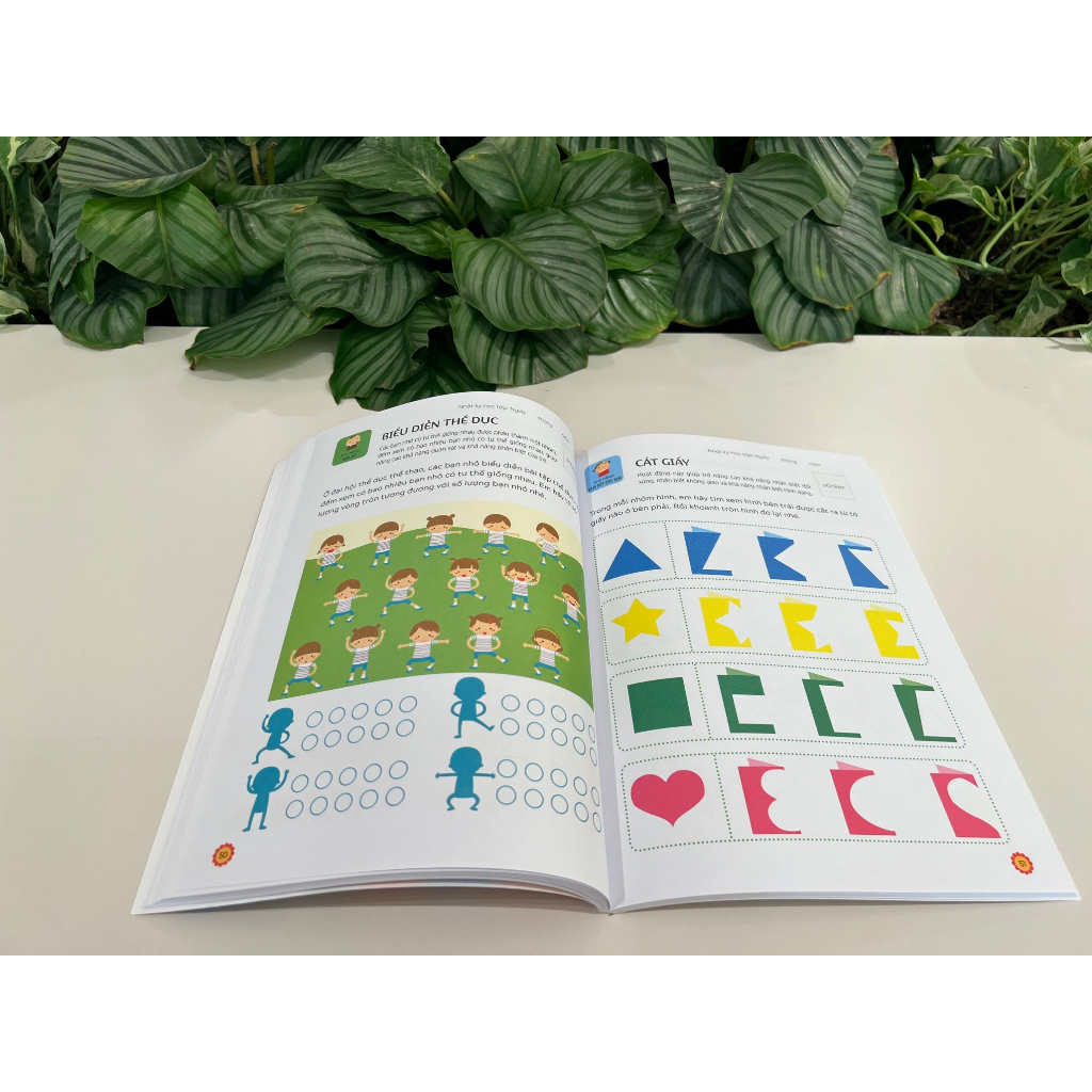 Sách - Phát triển tư duy: Rèn luyện não trái, não phải cho bé 3-6 tuổi