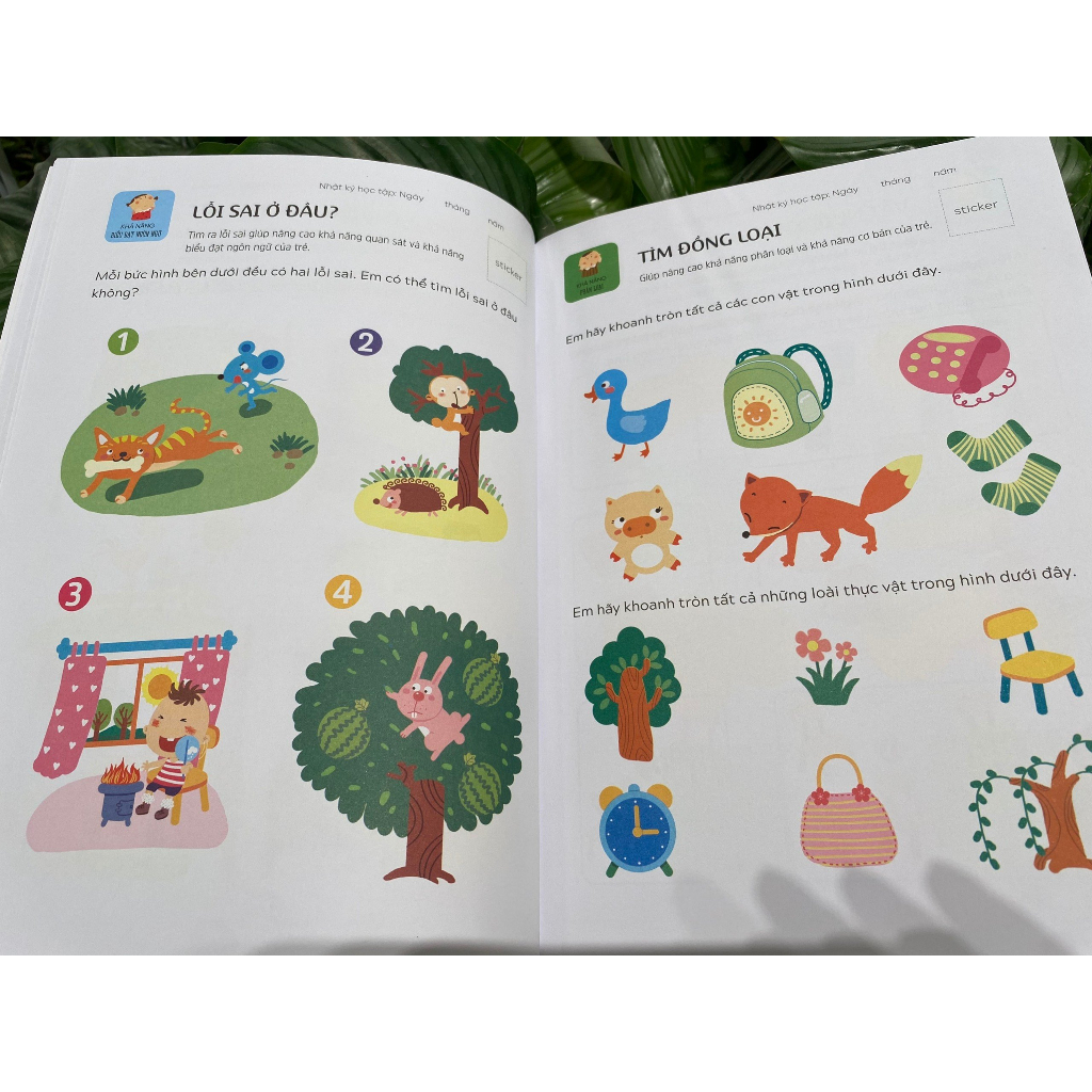 Sách - Phát triển tư duy: Rèn luyện não trái, não phải cho bé 3-6 tuổi